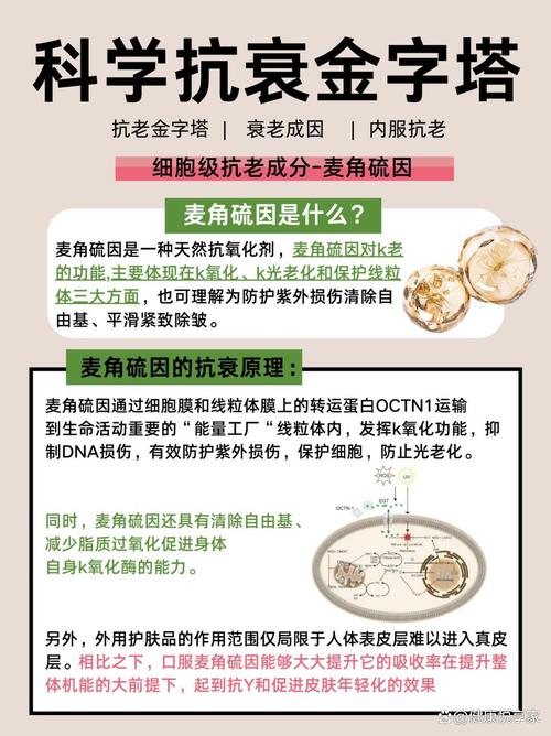 抗衰老这4点要牢记,仓配一体,时效速达