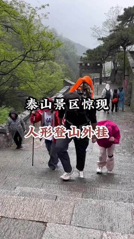 陪爬泰山演员接6单,让发货找车找物流更简单_123随叫随到