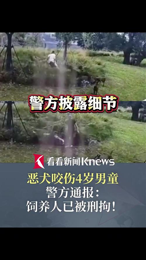 多名村民被恶犬咬伤,专业的一站式物流信息网_123随叫随到