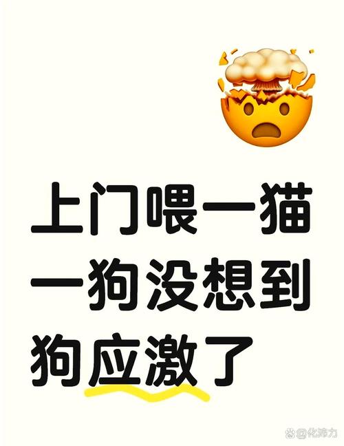被40只狗围咬致死,上门取货_123随叫随到