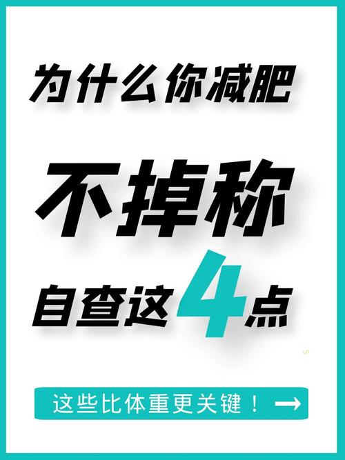 一天吃4顿身高定格,专业的一站式物流信息网_123随叫随到