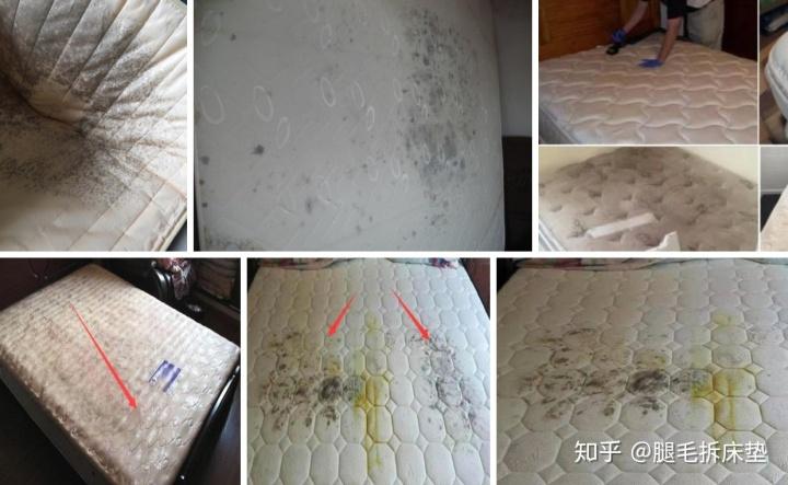 使用10年床垫粉末化,物流专线直达_123随叫随到