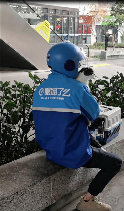 饿了么前CEO涉犯罪,快递单号查询_123随叫随到
