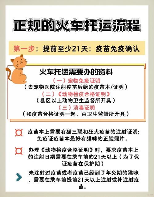 中国小猫被运到美国,仓配一体,时效速达