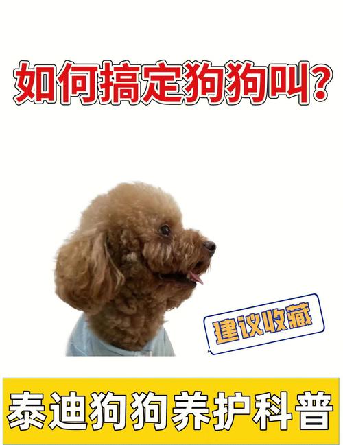 制止乱喊乱叫遭群殴,专业的一站式物流信息网_123随叫随到