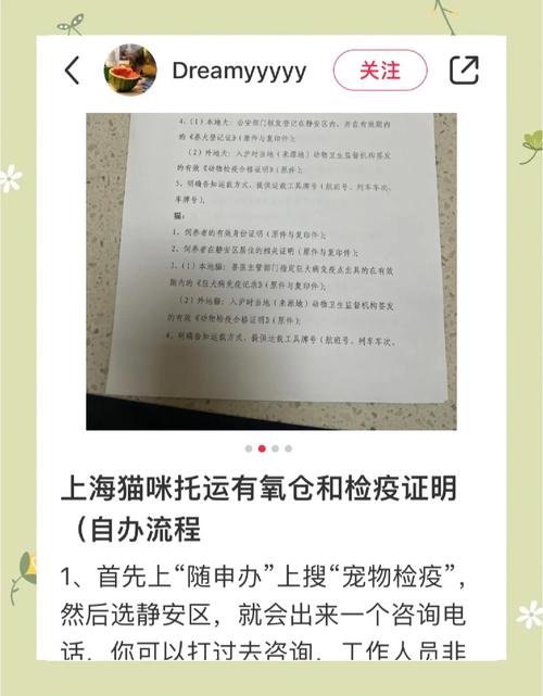 中国小猫被运到美国,专业的一站式物流信息网_123随叫随到