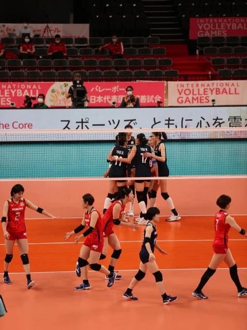 中国女排3比1日本,快递单号查询_123随叫随到