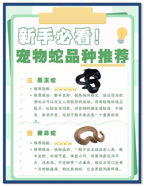 宠物蛇窜出罐子逃跑,物流专线直达_123随叫随到