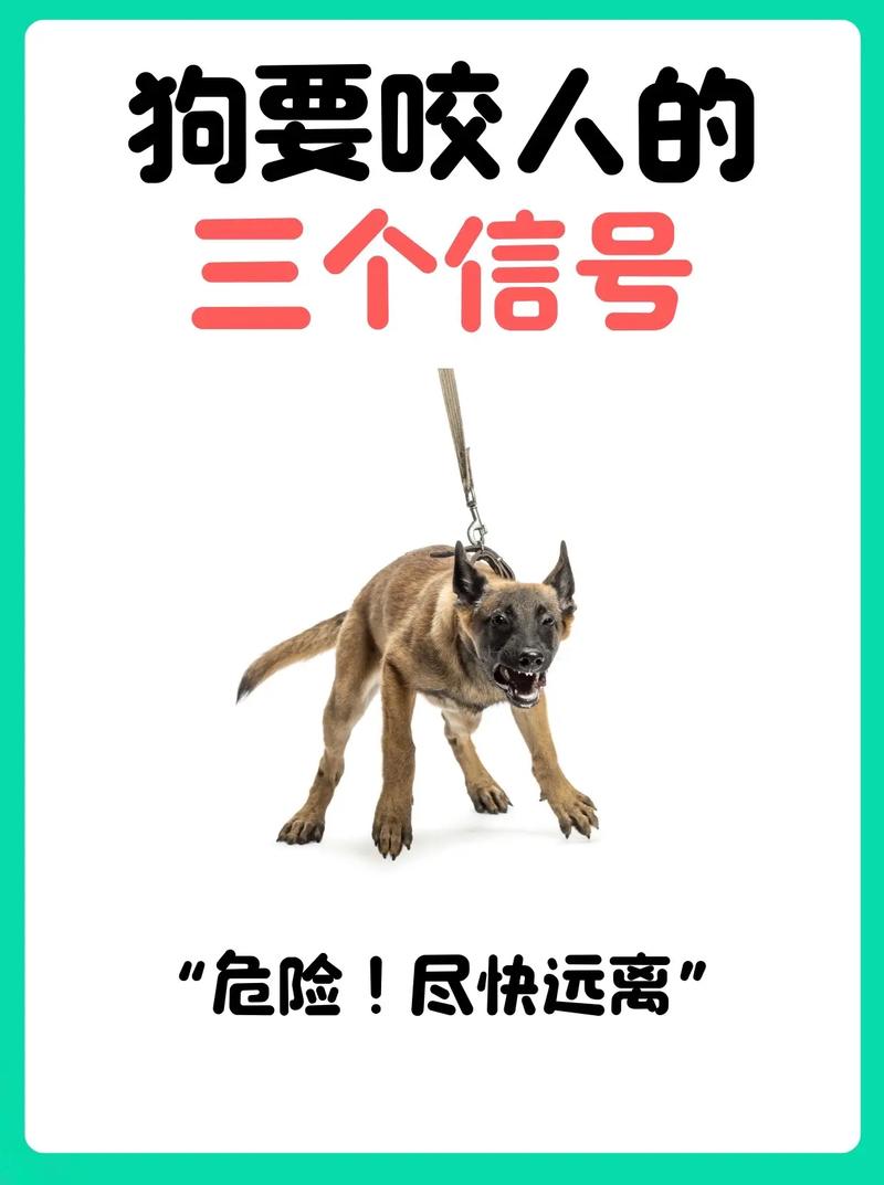 被狗咬3个月后去世,专业的一站式物流信息网_123随叫随到