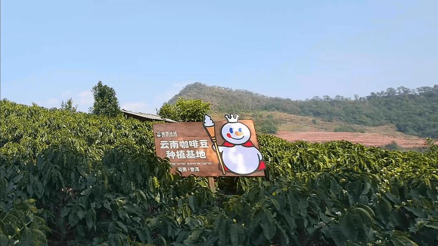 蜜雪冰城老板成首富,物流专线直达_123随叫随到