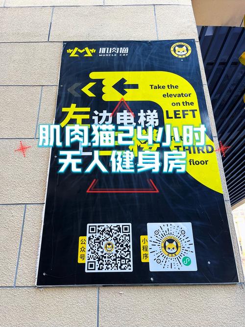 健身房有多脏,物流专线直达_123随叫随到