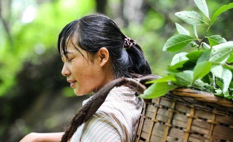 女孩被父亲藏匿7年,物流专线直达_123随叫随到