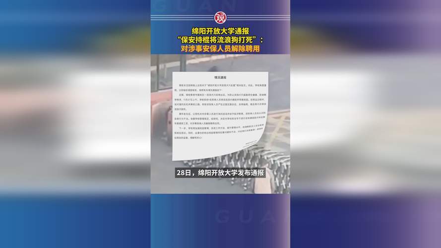 保安打死校内流浪狗,上门取货_123随叫随到