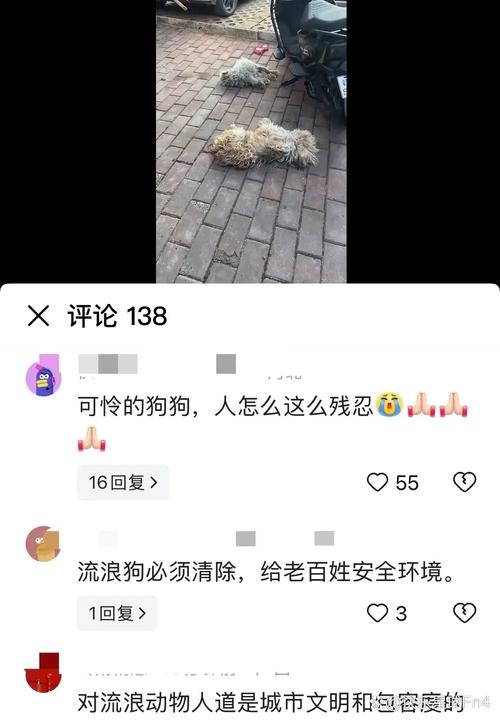 保安打死校内流浪狗,专业的一站式物流信息网_123随叫随到