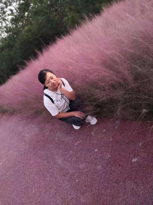 体育课玩手机被处分,物流专线直达_123随叫随到