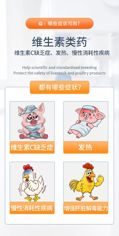 解暑药你用对了吗,仓配一体,时效速达