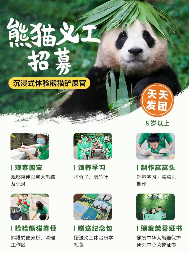 4只旅日大熊猫回国,仓配一体,时效速达