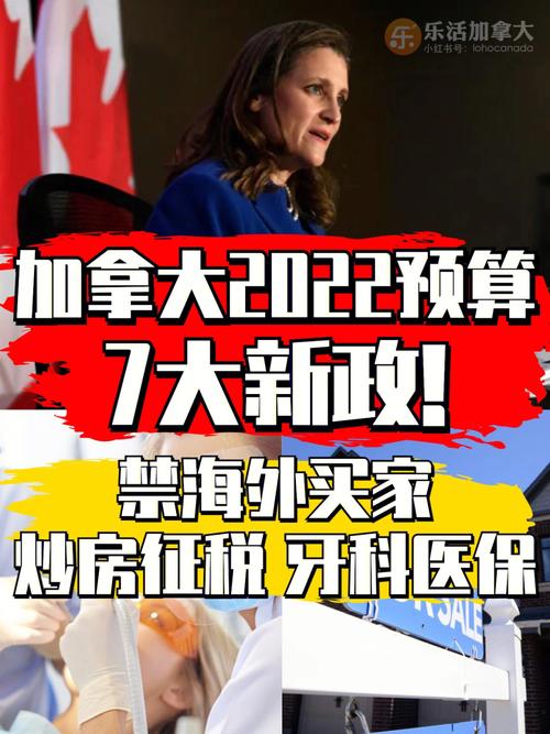 加拿大取消数字税,快递单号查询_123随叫随到